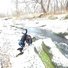 Two black and white dogs with red and blue harnesses exploring snowy rocks beside a flowing creek in a bare winter woodland